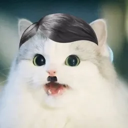 Himyis's Discord profile picture