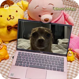 Sympathy0509's Discord profile picture